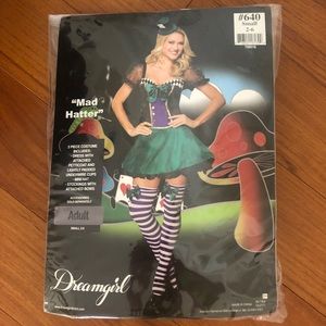 Mad Hatter Halloween Costume